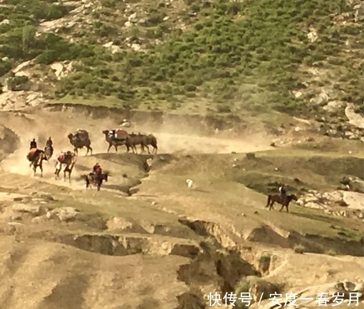 哈萨克|草原上的生命大迁徙哈萨克转场