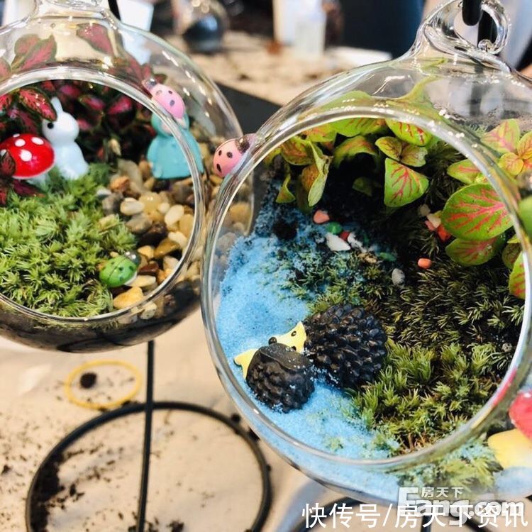 建邦国宸府|想看上海金山楼盘的最新现场实景，选房一定要看