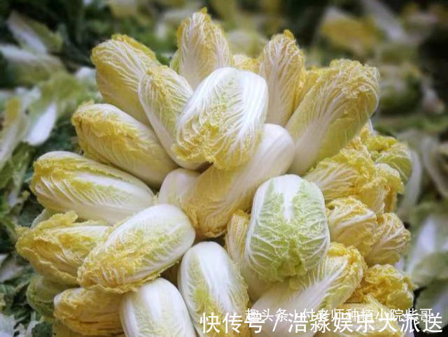 娃娃菜是白菜心吗一张图告诉你一切,怪不得好吃