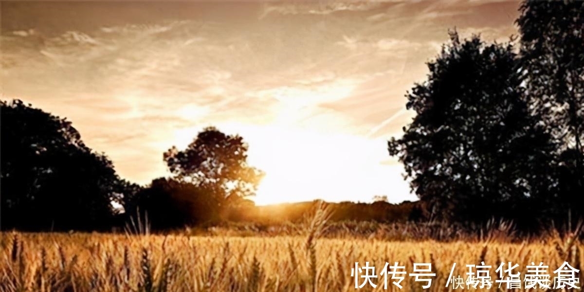 景象|辛弃疾一首《西江月》,写出了乡村夏日夜晚景象,农村孩子都见过