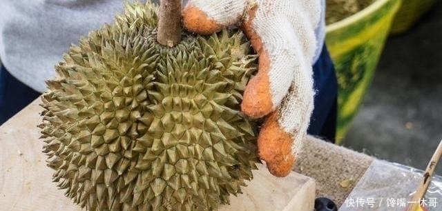 榴莲|一棵榴莲树可以长上百个榴莲,为什么还卖那么贵看完你就明白了