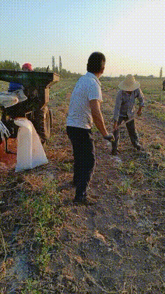 |搞笑GIF:这或许才是种西瓜的真谛,只生产西瓜子