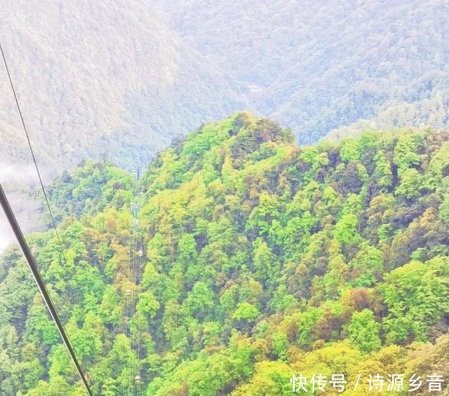 夏花|夏日秘境快来梵净山感受动画里的夏天!