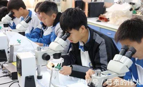 学生|高中学生学习成绩好坏,不仅在于学生自身,家长情绪起重要作用