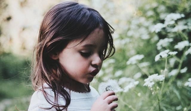 认识|孩子的大脑只有三次发育高峰期,家长要把握机会,别失去了才后悔