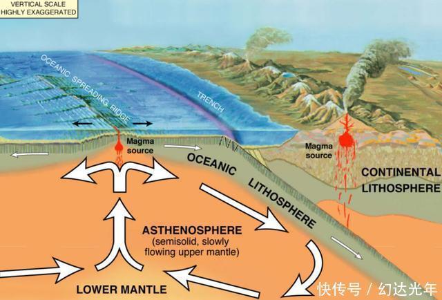 生物的秘密 板块运动对生物的塑造
