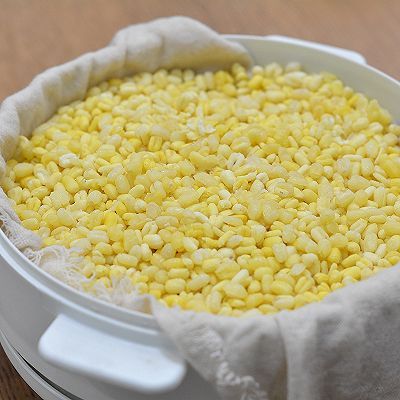 月饼|流心豆沙米月饼