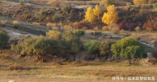 历史|历史上的噶尔丹是一位怎样的人，康熙为什么要御驾亲征好几次！