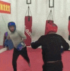 |搞笑GIF趣图:谁出馊点子,给我出来,我保证不弄死你!