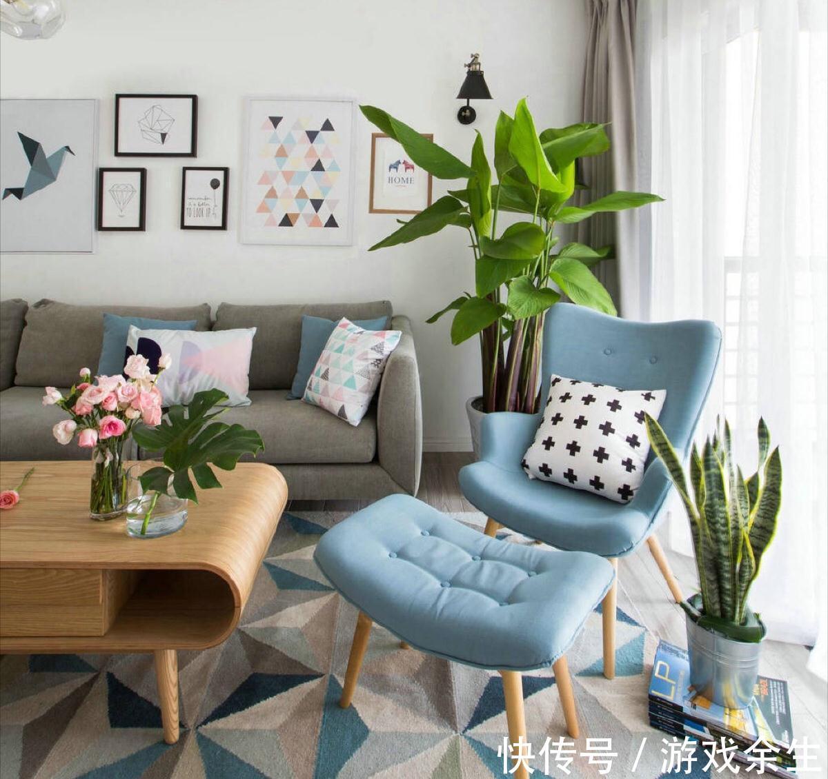 6种“吉利花”不要晒太阳,放在阴凉处,才能长得棒,富贵又旺家