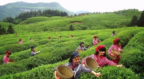 中国原生态最美山乡，坐拥7大4A级景区，天生的旅游胜地