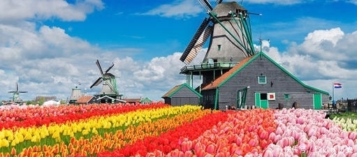红灯区|郁金香、风车与奶酪，使荷兰成为开放、浪漫、自由又清新的国度