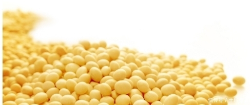 小孩|五种最有益健康的食物，老人小孩都爱吃，进来了解一下！