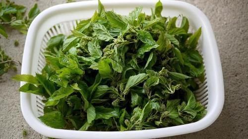 打针|天然胰岛素来啦，少花钱不打针，好用到哭，简直是血糖吸尘器！