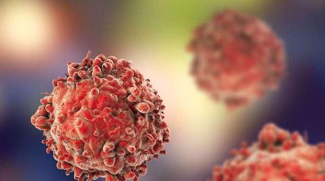 白血病|白血病“初发”,身体也许会有3个信号,哪怕有一个,也要体检