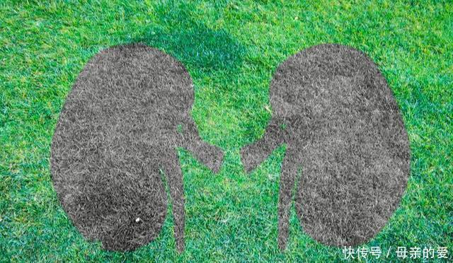 剂量|49岁男子冠心病吃他汀，突发双肾衰竭，医生：只因这个用药错误