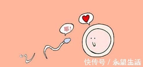 10个趣味冷知识!蟑螂小强的大众神话与草根人生!