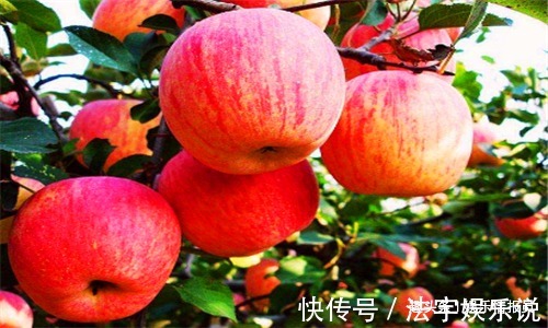 祛皱|聪明女性喜欢吃4种食物,祛皱嫩肤、保护子宫,提高身体抵抗力