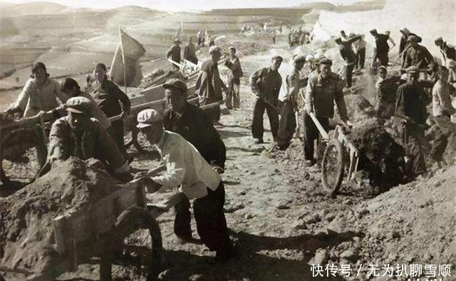 莫言回忆童年:感到自己跟一头猪、一条狗没有什么区别