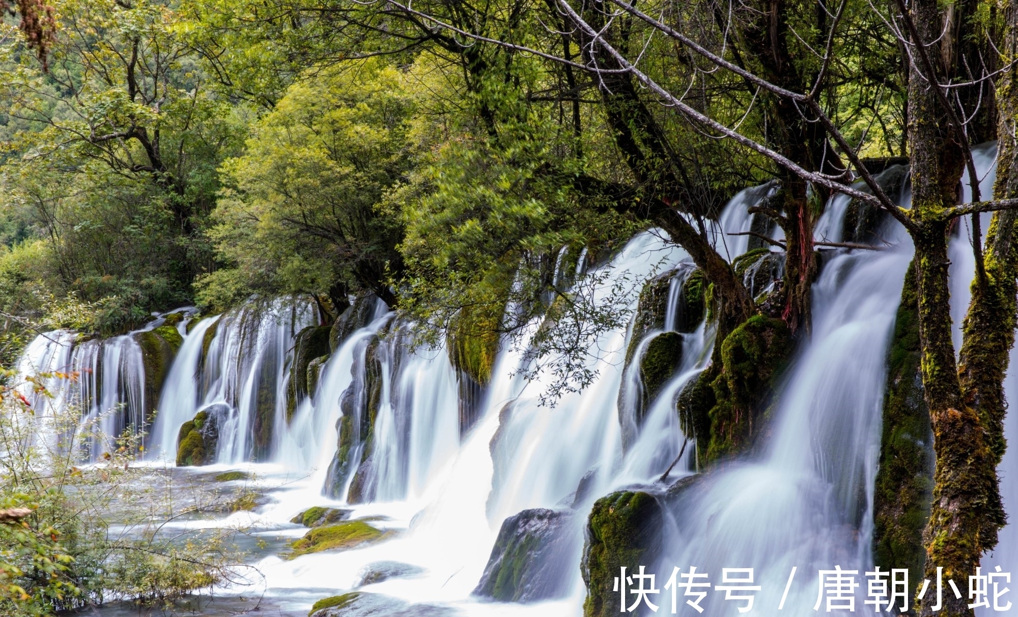 辛丑！七律｜人间至美是清秋