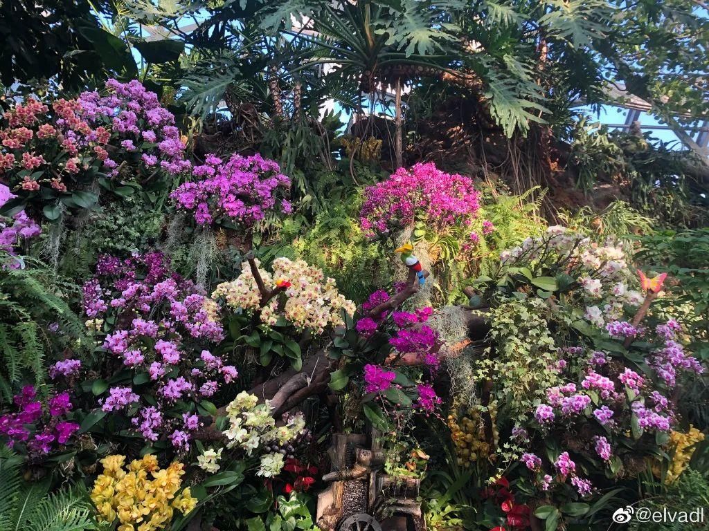 老年|留松过大年丨松江这些红红火火的地方，你去打卡了吗？