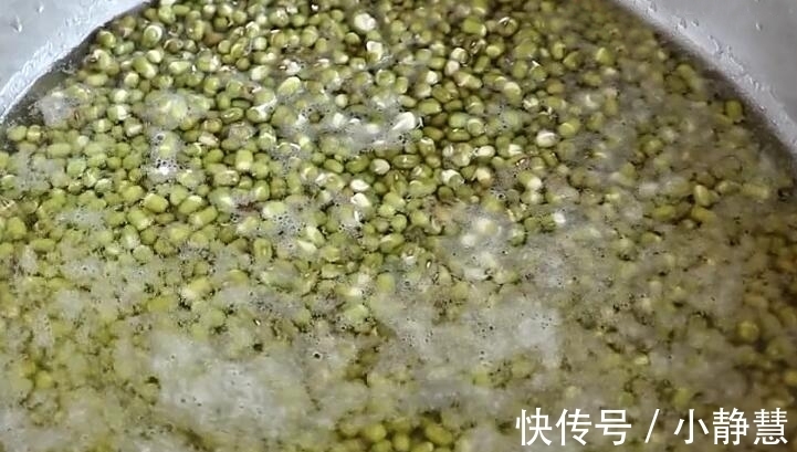 盖子|想吃绿豆芽别再买,教你在家生,一碗绿豆生一大盆,做法超简单