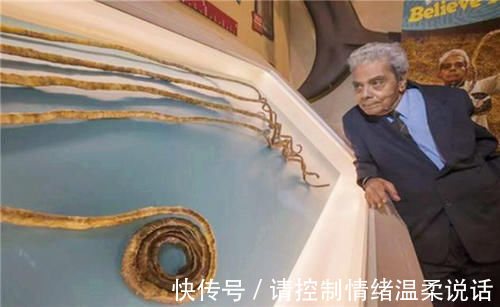 手指|印度老人将留了66年的指甲剪下,封存博物馆后,手指却产生新变化