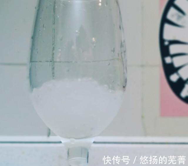 果浆|杨枝甘露，夏日饮品，口味超赞！