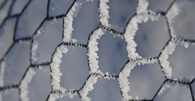 有趣的22个冷知识：刚要睡着时，感觉身体从高处坠落是怎么回事