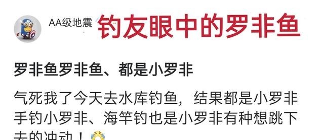 厦门|厦门一河道被“入侵”,密密麻麻全是鱼!连钓鱼人都发愁