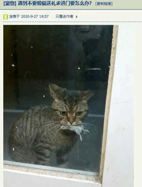 “餐厅这道菜卖1880,你们看值不值”老板含泪赚下1800