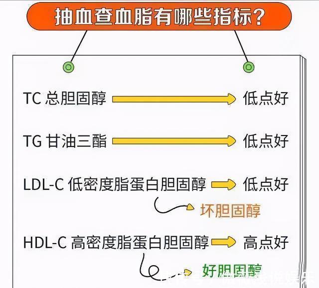 血脂|高血脂分3种：有的需要吃药，有的不需要吃药，这一点需要明确