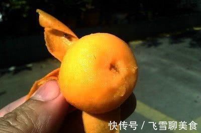 润肺|慢性咽炎一直反复？经常吃点天然“咽炎药”，轻松摆脱困扰