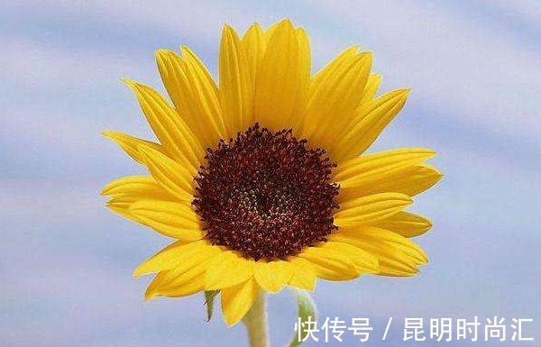 好命&俗话说:人在做天在看,多做4件“积德事”,必能一生好命多财!