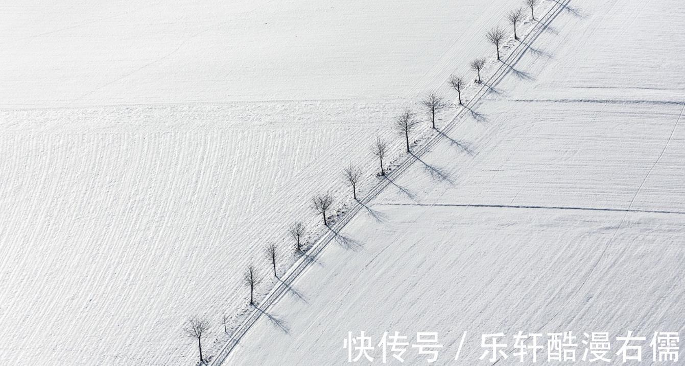 山露水|修炼城府,从不勾心斗角的星座,知世故而不世故,格局观看得高远