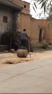 |搞笑GIF:对,不犯法,快用钱砸昏我吧