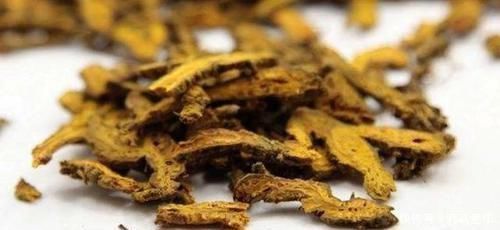 良效|此物被人称为“最苦”的中药,入药也最能清心火、解热毒、除湿气