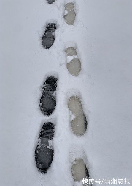 高海拔|从“哇！下雪了”到“哦，下雪了”，这个冬天湖南雪格外多？