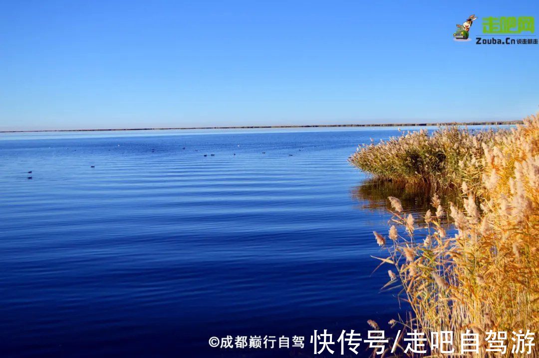 景区|额济纳“黄金盛宴”来了！住景区，穿越无人区峡谷，错过要等一年