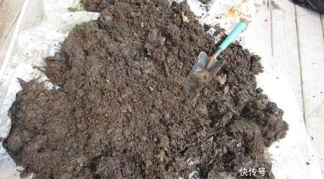 旧土|换盆的旧土都扔了,不学这招你亏大了