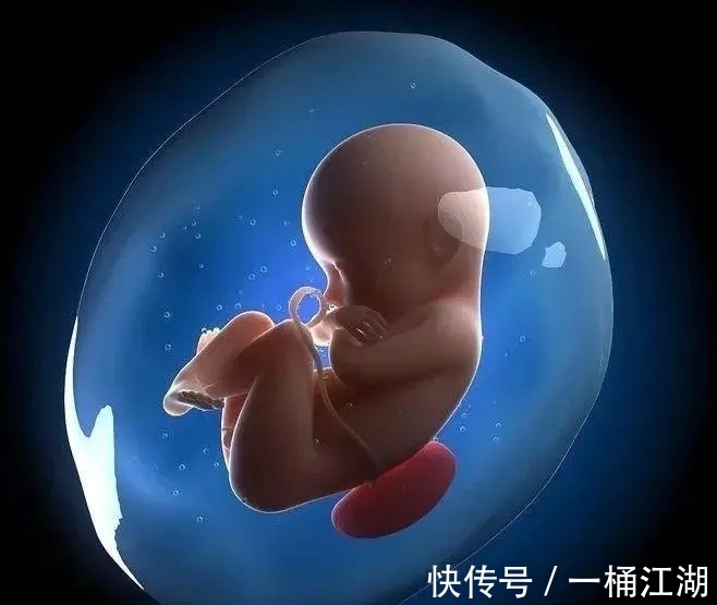 冷知识|32个冷知识:或许看起来有些荒唐,但却有所依据的有趣知识