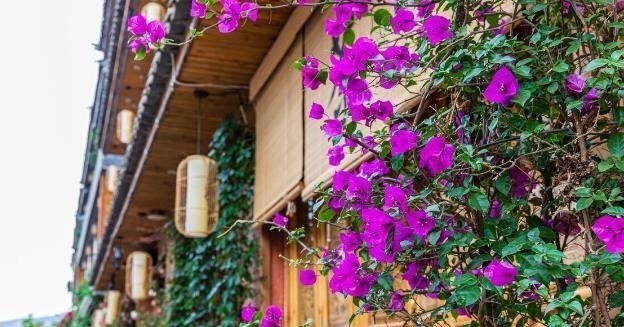 为了养花种菜,奶奶花160万买了郊区的别墅,3年之后,后悔了