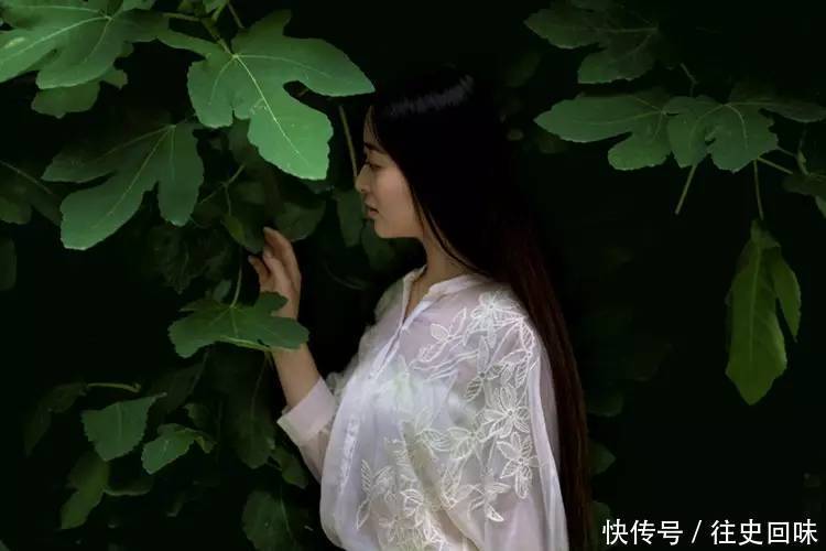 青玉案的案是读àn还是ān,辛弃疾是词人还是将军,你知道吗?