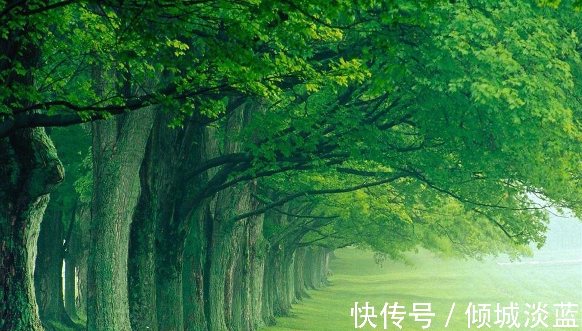 五斗米&多少人生活不如意,都在岑参一句唐诗“只缘五斗米,辜负一渔竿”