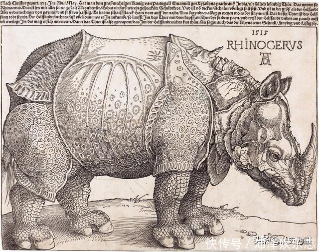 《犀牛》:丢勒画了一幅错误百出的画,让欧洲人300年都信以为真