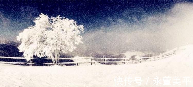 风雪夜归人#古代写雪最好的五首诗,这次还是李白胜,只因他这句比喻太强大!