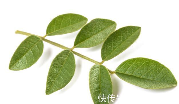 海带|海带能调节“三高”,还有预防肿瘤等8大功效,但这4类人不宜吃