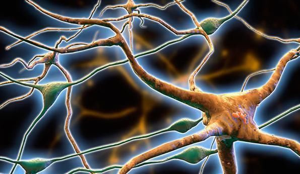 睡眠|失眠多是大脑神经问题！医生提醒：尝试6个方法，让你一觉到天明