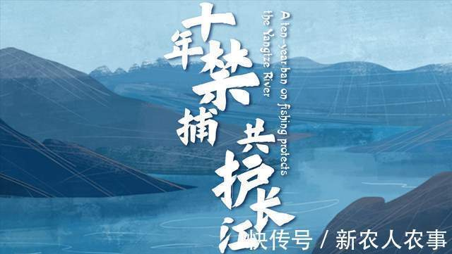 江苏男子的另类“钓鱼不空军”,连青菜也不放过,迟到的正义来了