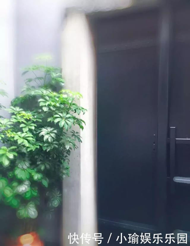 客厅养花,聪明人就选这6种,时尚大气,旺人旺宅!